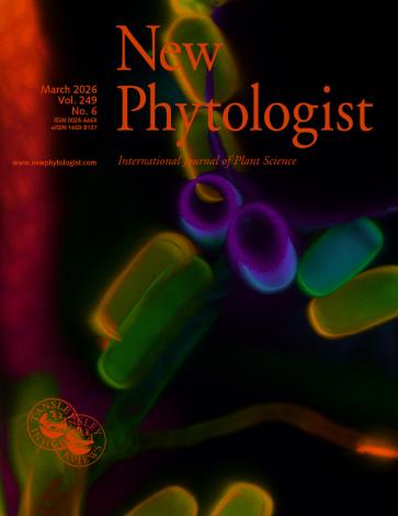 The cover of New Phytologist volume 249, issue 6. Color-coded confocal z-stack depicting the three-dimensional architecture of a fungal-algal coculture isolated from a local pond. Fungal hyphae are visualized by calcofluor staining, while algal cells are detected through their native autofluorescence.