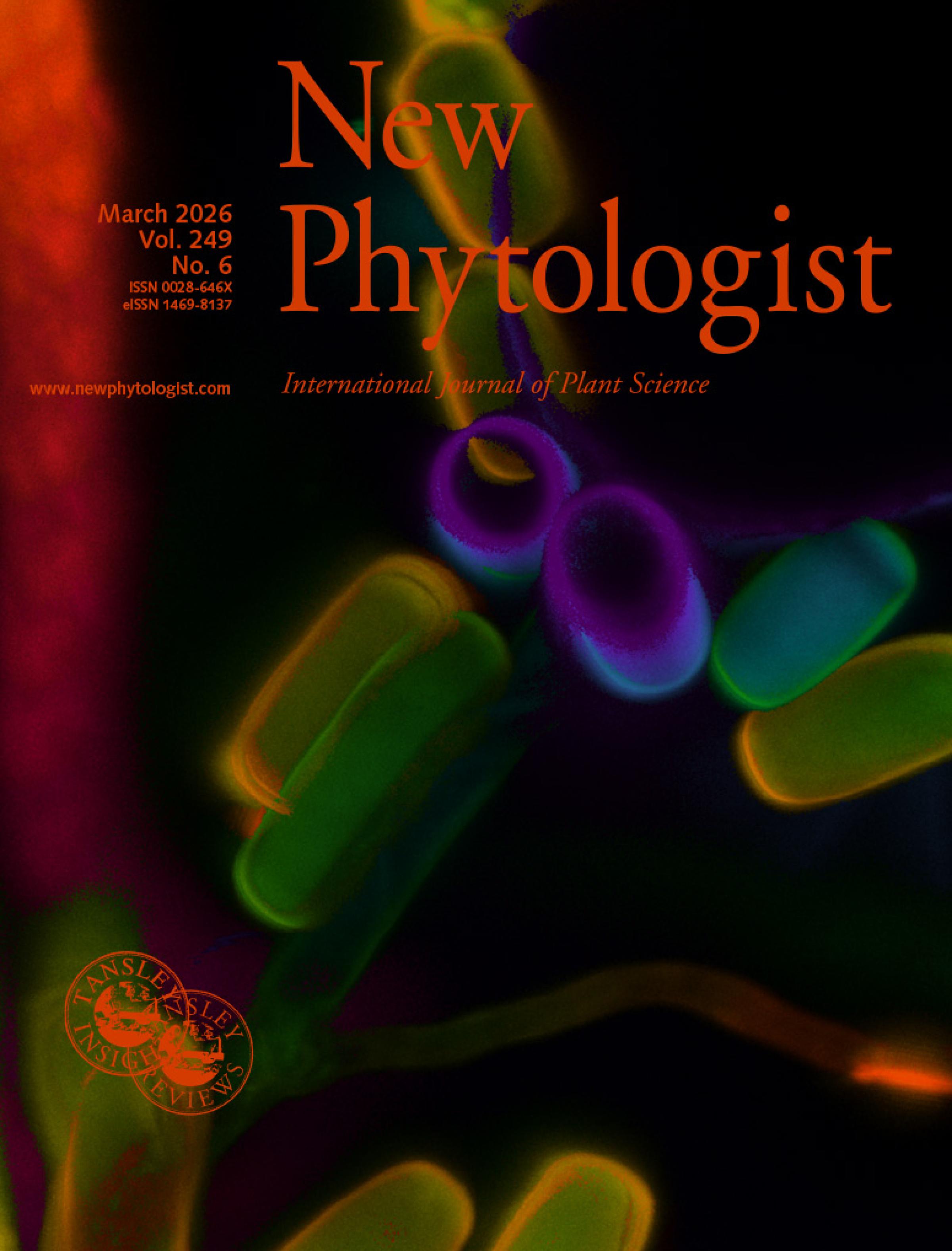 The cover of New Phytologist volume 249, issue 6. Color-coded confocal z-stack depicting the three-dimensional architecture of a fungal-algal coculture isolated from a local pond. Fungal hyphae are visualized by calcofluor staining, while algal cells are detected through their native autofluorescence.
