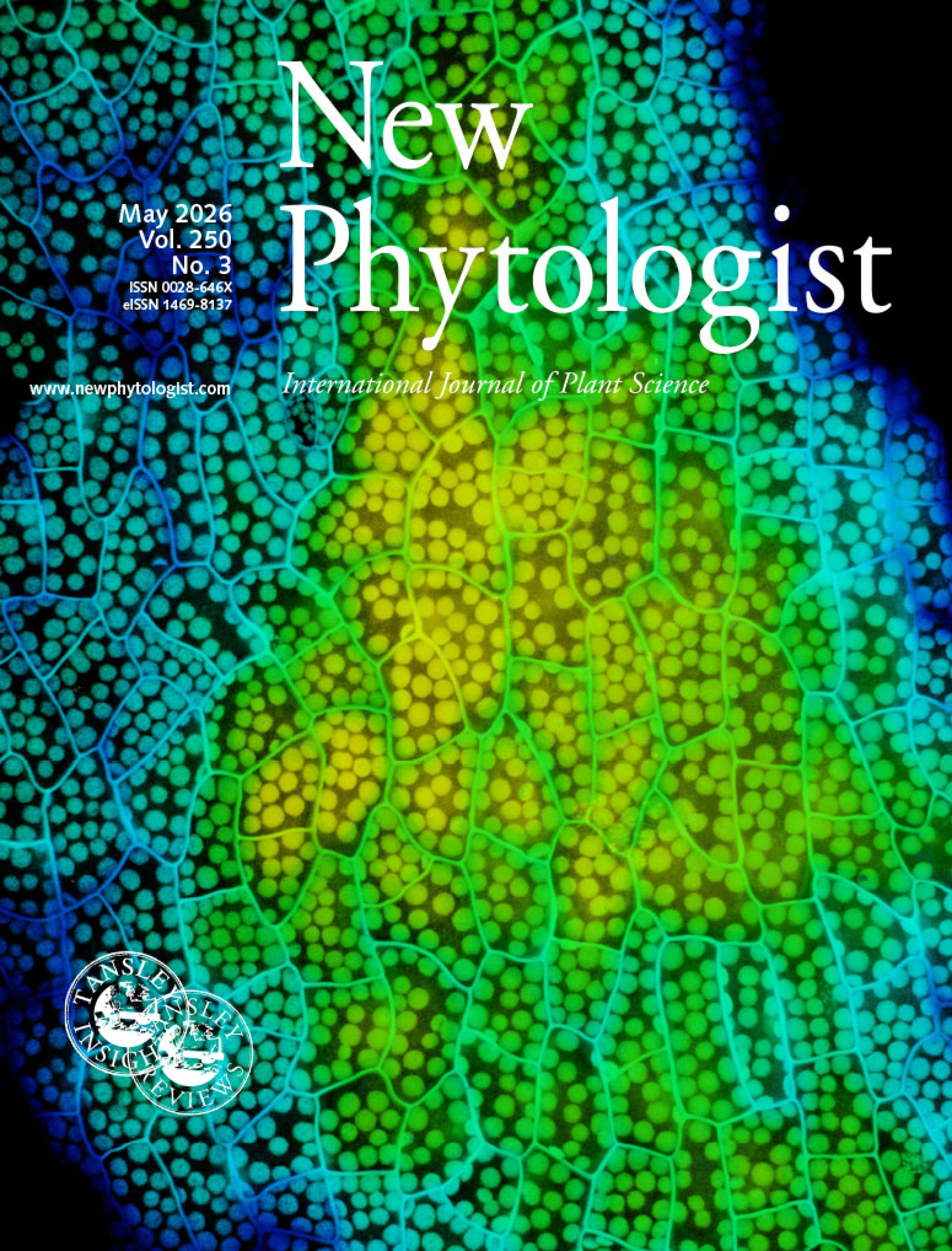 Cover of New Phytologist volume 250, issue 3. Confocal fluorescence imaging of epidermal tissue from mature Rorippa aquatica leaves subjected to long-term submergence for four months. The epidermal layer contains a high density of discrete chloroplasts, visible as spherical organelles. The cells were counterstained using propidium lodide and visualised using depth-coded colour.