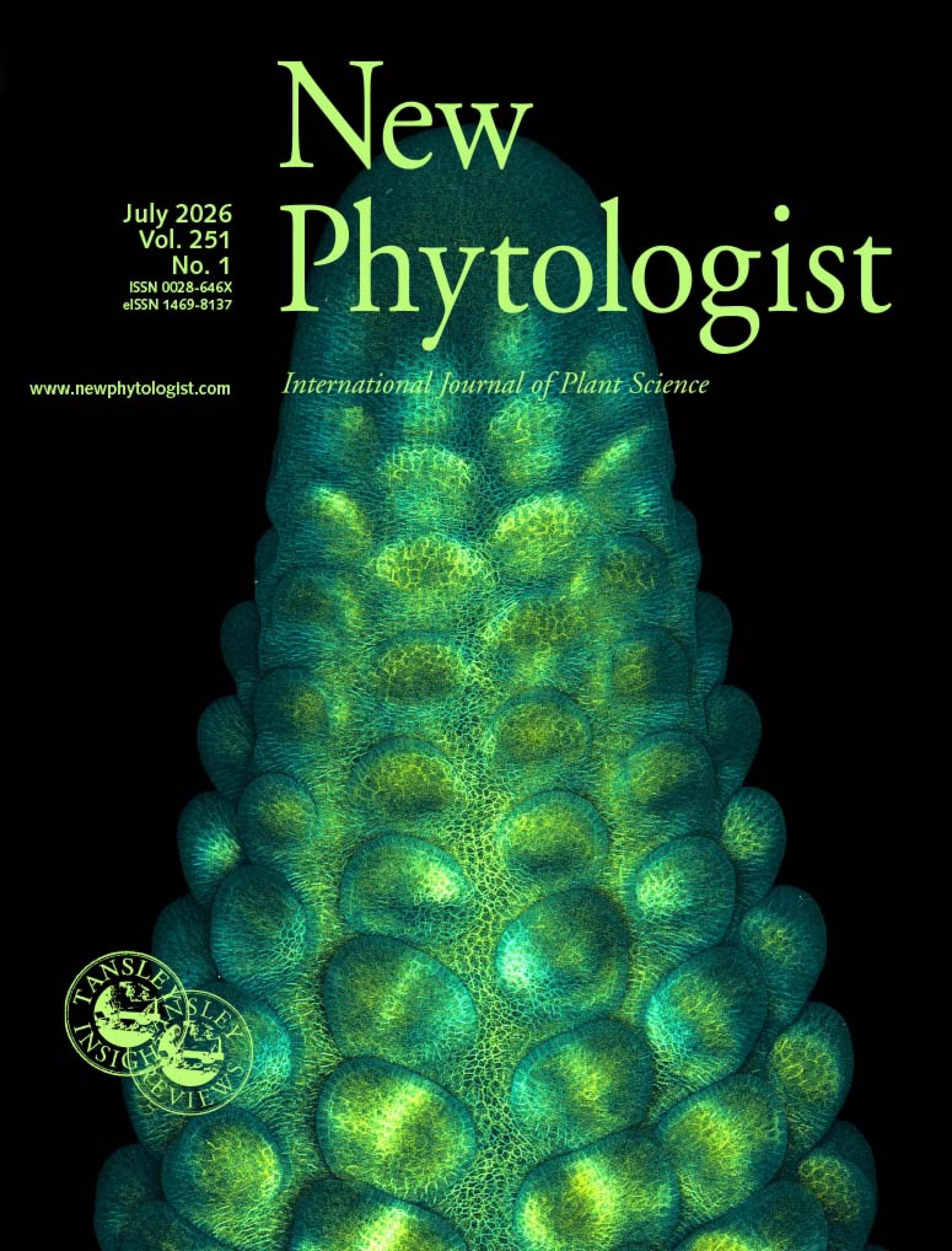 Maximum projection confocal micrograph of a developing maize ear primordium expressing PIP2-CFP membrane marker (cyan) and developmental receptor BAM1D-YFP (yellow).
