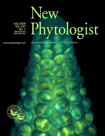 Maximum projection confocal micrograph of a developing maize ear primordium expressing PIP2-CFP membrane marker (cyan) and developmental receptor BAM1D-YFP (yellow).