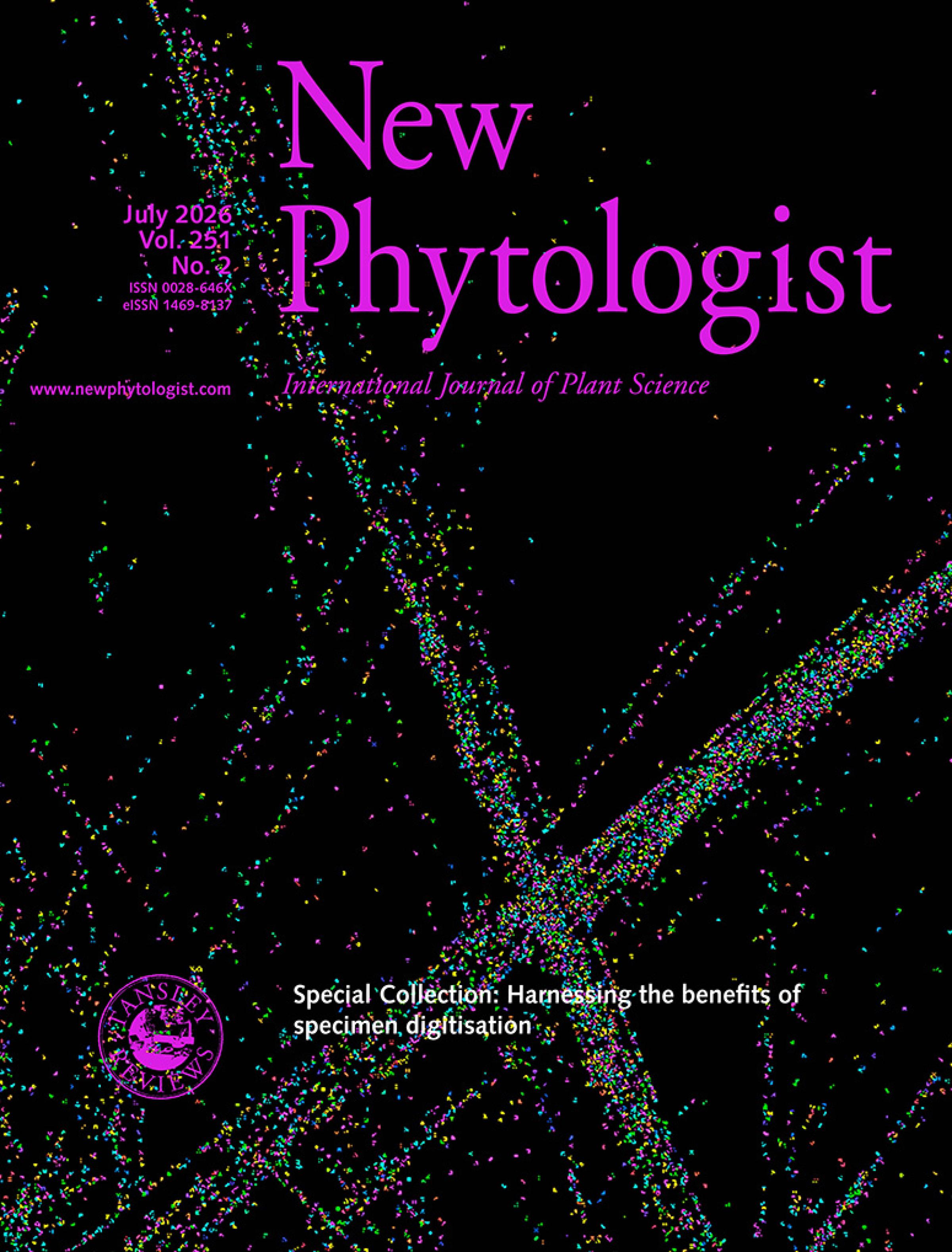 Cover of New Phytologist volume 251, issue 2. A synthetic fractal image generated from a randomly selected set of Iterated Function Systems (IFS) variables.