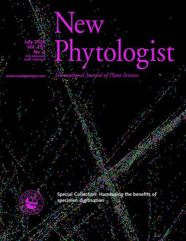 Cover of New Phytologist volume 251, issue 2. A synthetic fractal image generated from a randomly selected set of Iterated Function Systems (IFS) variables.