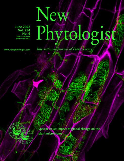 Journal cover, title reads "New Phytologist", text reads "June 2022, Vol.234, No.6". Background shows a poplar root colonized by endophytic and ectomycorrhizal fungi. Fungal hyphae are stained in green and root cells are false coloured in magenta.