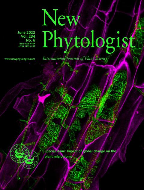 Journal cover, title reads "New Phytologist", text reads "June 2022, Vol.234, No.6". Background shows a poplar root colonized by endophytic and ectomycorrhizal fungi. Fungal hyphae are stained in green and root cells are false coloured in magenta.
