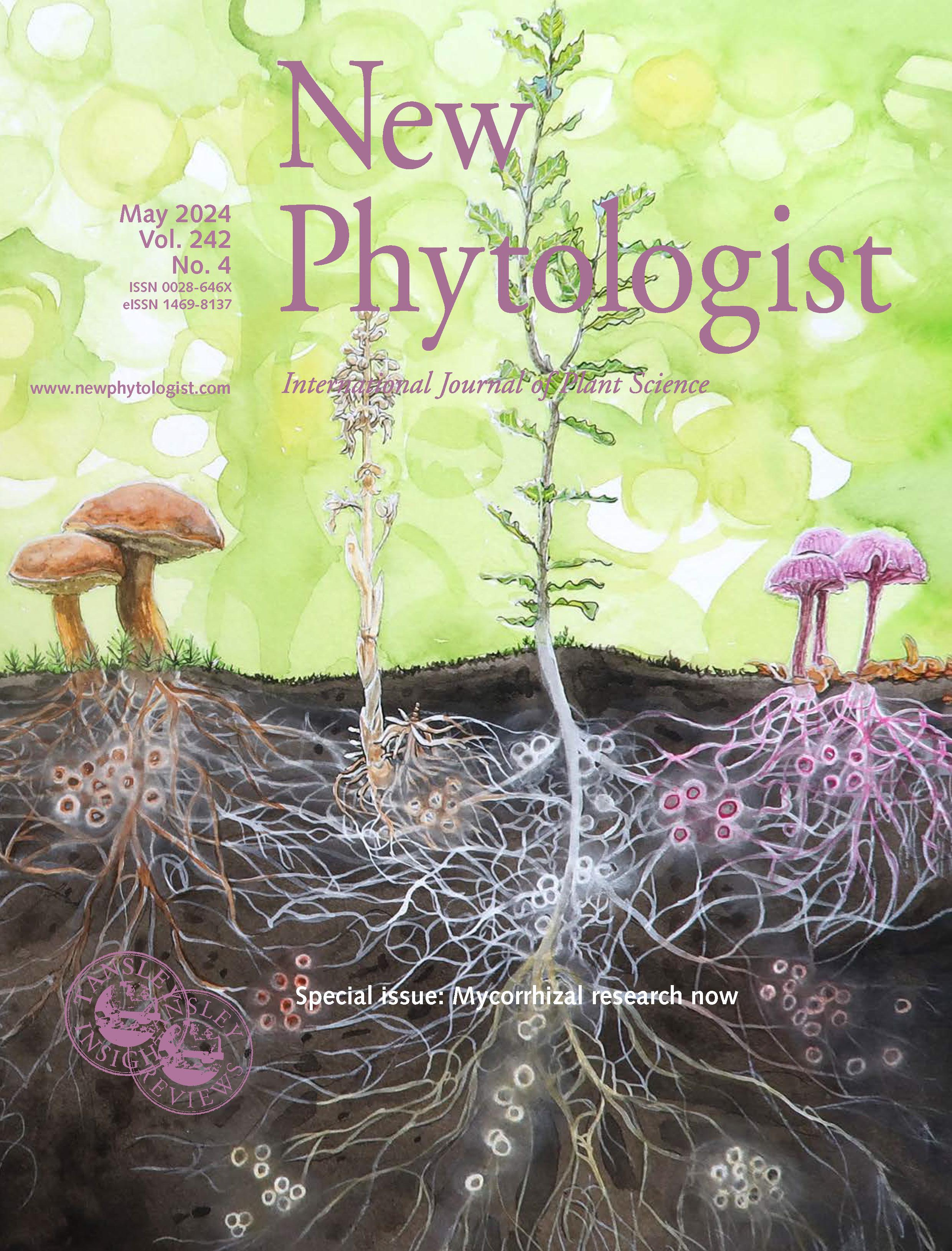 Journal cover, title reads "New Phytologist", text reads "May 2024, Vol.242, No.4". Background shows a soil mycorrhizal community.