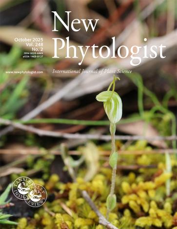 Cover of New Phytologist volume 248 issue 2. A terrestrial orchid (Pterostylis nana: Orchidaceae) that is part of the species rich and highly endemic southern temperate Australian flora.