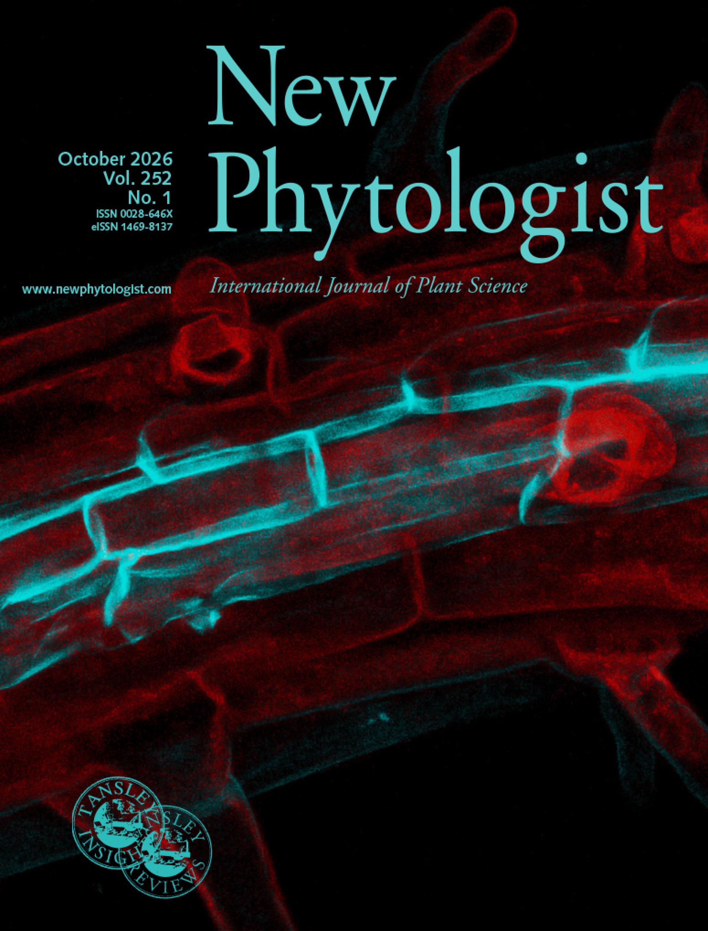 Cover of New Phytologist 252:1. Confocal image of an Arabidopsis thaliana root showing suberin deposition, a dynamic barrier that contributes to root adaptation under changing nutrient conditions. Suberin lamellae are stained with Fluorol Yellow 088 (turquoise), and cell walls are counterstained with Aniline Blue (red). Image is courtesy of Martin Lyčka.