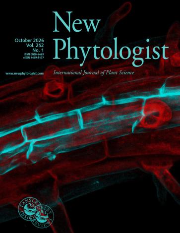 Cover of New Phytologist 252:1. Confocal image of an Arabidopsis thaliana root showing suberin deposition, a dynamic barrier that contributes to root adaptation under changing nutrient conditions. Suberin lamellae are stained with Fluorol Yellow 088 (turquoise), and cell walls are counterstained with Aniline Blue (red). Image is courtesy of Martin Lyčka.