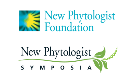 the logo of the New Phytologist foundation, which is a abstract image with similarities to a daisy, with the New Phytologist Symposia logo underneath, which incorporates a branch and leaf