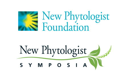 the logo of the New Phytologist foundation, which is a abstract image with similarities to a daisy, with the New Phytologist Symposia logo underneath, which incorporates a branch and leaf