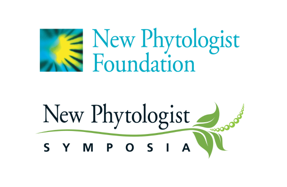 the logo of the New Phytologist foundation, which is a abstract image with similarities to a daisy, with the New Phytologist Symposia logo underneath, which incorporates a branch and leaf