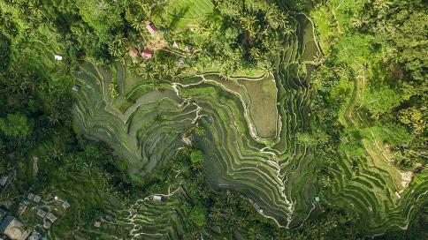 Oleg Illarionov Dtqyij S8ii Unsplash 968x544