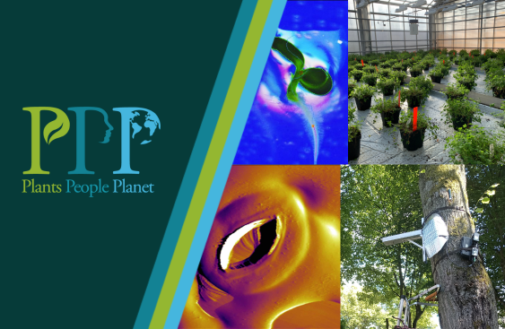 P3 Event Innov Plant Soil 1126 X 734 Px 