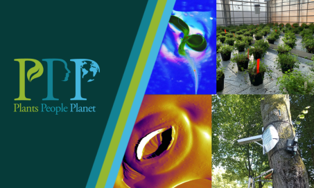 P3 Event Innov Plant Soil 1126 X 734 Px 