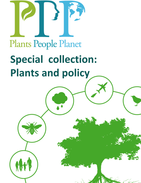 P3 Special Collection Plants And Policy