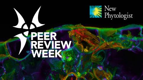 Peer Review Week Npf Main 2 