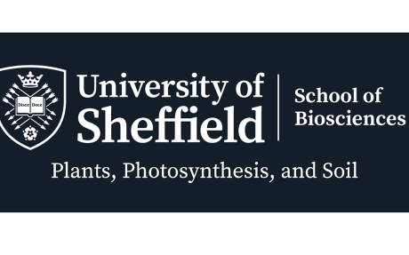 University of Sheffield School of Biosciences Plants, Photosynthesis and Soil logo