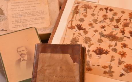 archives and specimens from the fateful Lady Franklin Bay Expedition (1881-1884) residing in the Carnegie Museum herbarium, Pittsburgh, USA.