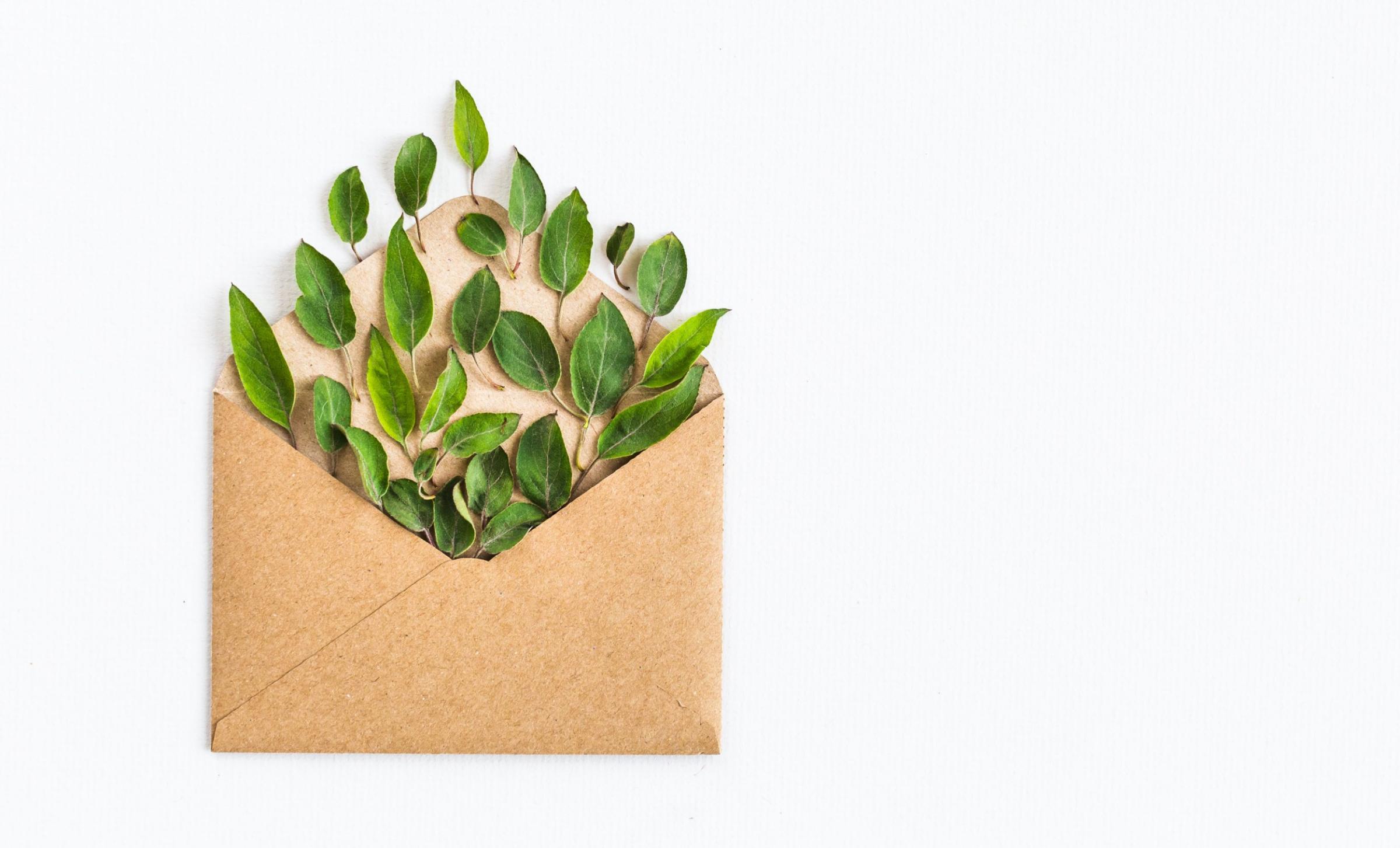 An open brown envelope on a white background, with small green leaves in a variety of shapes and sizes spilling out of it.