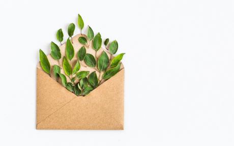 An open brown envelope on a white background, with small green leaves in a variety of shapes and sizes spilling out of it.