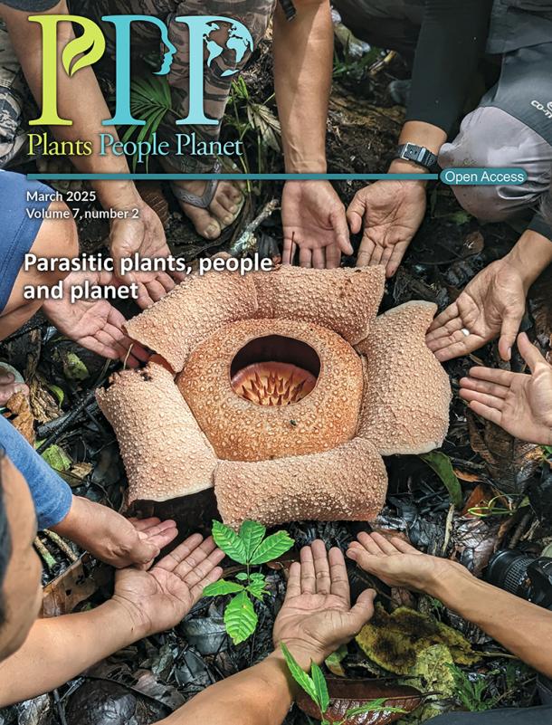 Cover of Plants, People, Planet volume 7, issue 2: parasitic plants, people and planet. Rafflesia bengkuluensis with its custodians in Sumatra.