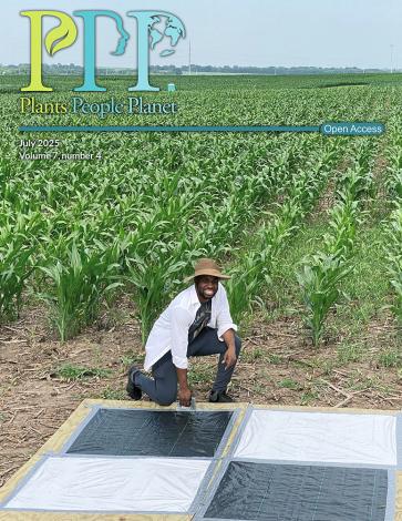 The cover of Plants, People, Planet volume 7, issue 4. PhD student Michael Tross in a maize field during installation of a ground control point for satellite imaging.