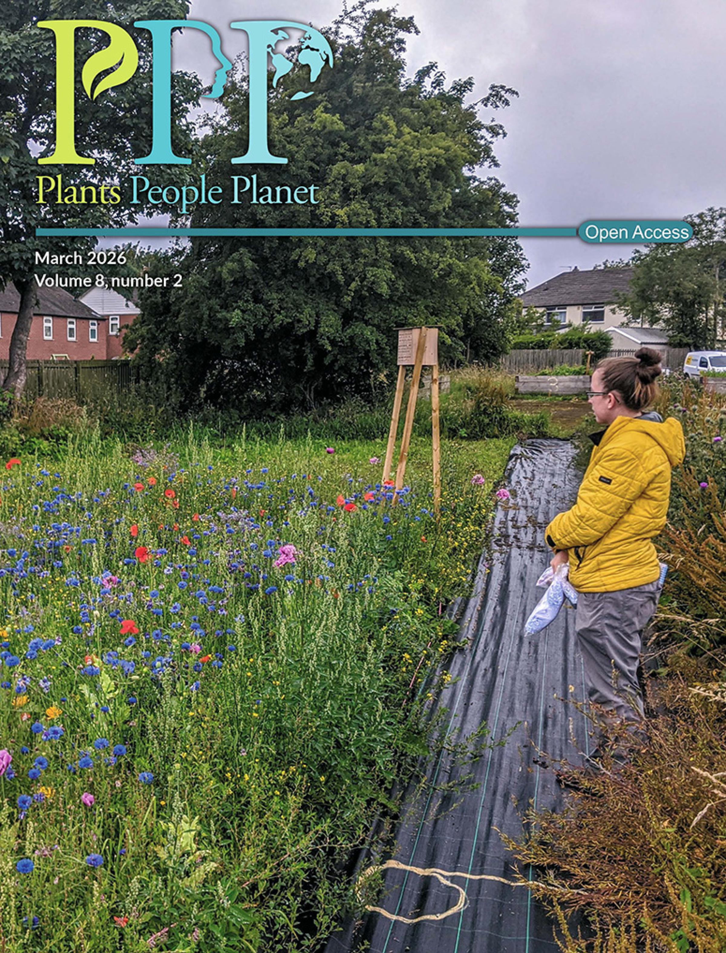 The cover of Plants, People, Planet volume 8, issue 2. Researcher Emilie E. Ellis surveying an experimental flower patch at an urban allotment in Leeds, UK.