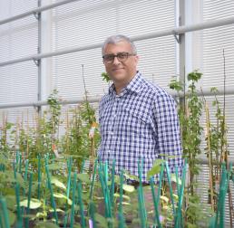 Rishikesh Bhalerao in a blue and white checked shirt , stood indoors amongst plants