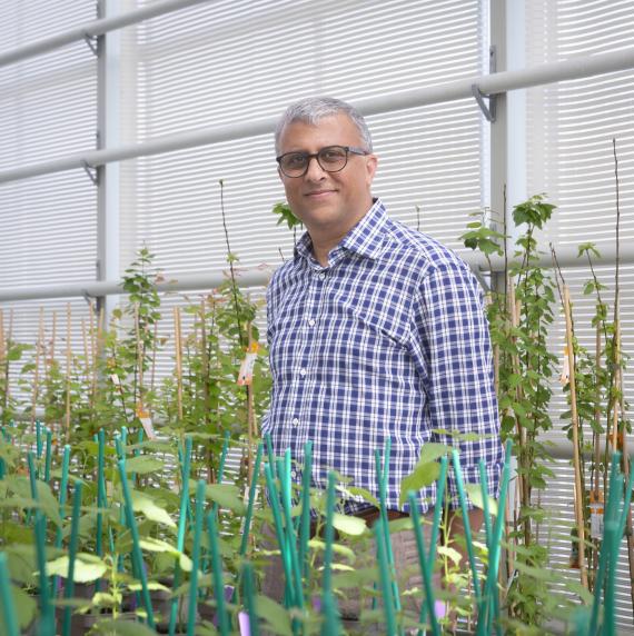 Rishikesh Bhalerao in a blue and white checked shirt , stood indoors amongst plants