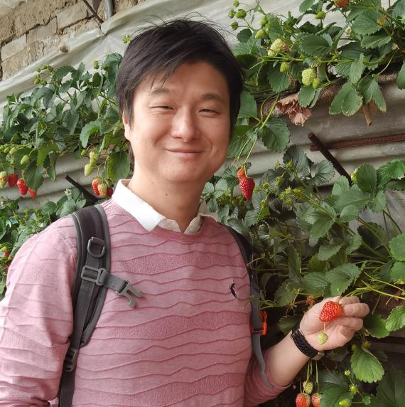 Wei  Wang wearing a pink jumper, holding a strawberry on a strawberry bush