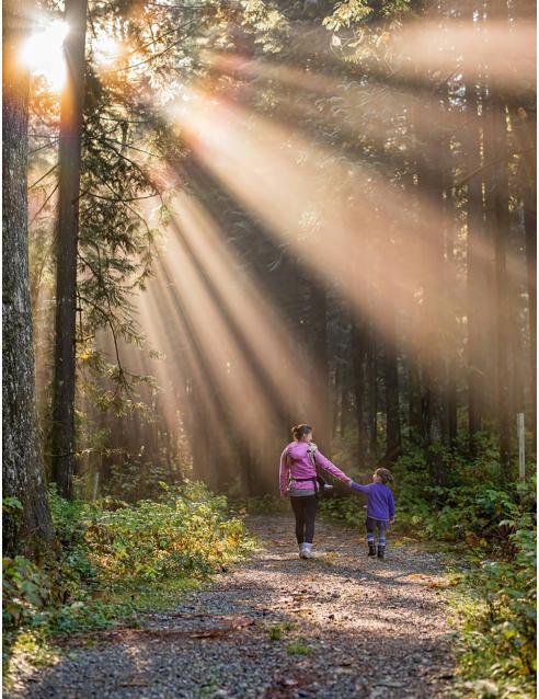 A forest with sun shining through the trees and a woman and child holding hands walking along a path in the middle.