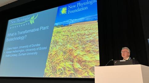 Photo from the opening of the New Phytologist workshop on Transformative Plant Biotechnology, with Alistair Hetherington at a podium in front of a slide with a field of golden wheat
