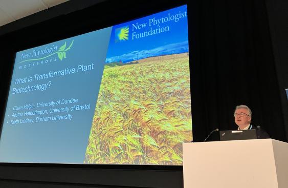 Photo from the opening of the New Phytologist workshop on Transformative Plant Biotechnology, with Alistair Hetherington at a podium in front of a slide with a field of golden wheat