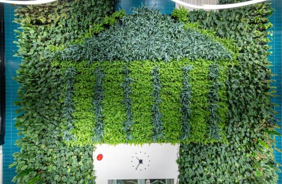 the University of Tartu logo, a colonnaded building, done out of green leafy plants.