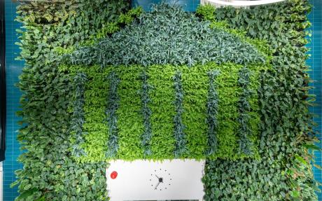 the University of Tartu logo, a colonnaded building, done out of green leafy plants.