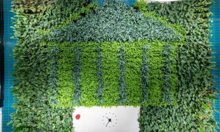 the University of Tartu logo, a colonnaded building, done out of green leafy plants.