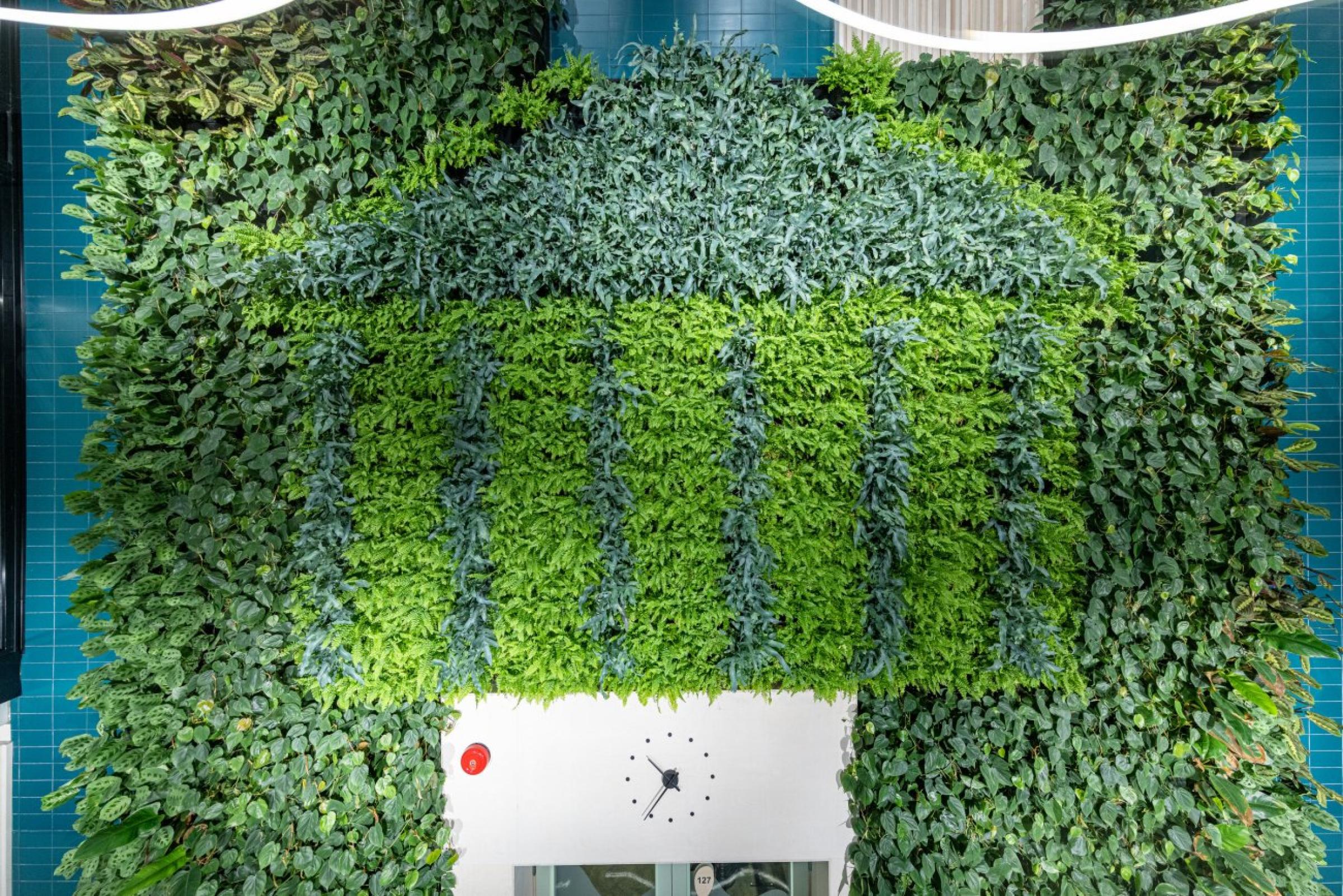 the University of Tartu logo, a colonnaded building, done out of green leafy plants.