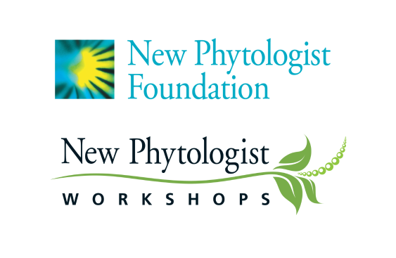 New Phytologist Foundation logo above the New Phytologist Workshop logo